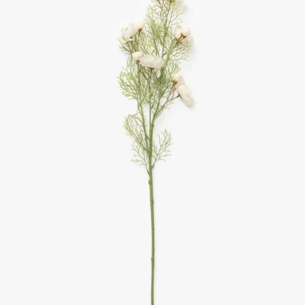 Cream Cosmos Stem