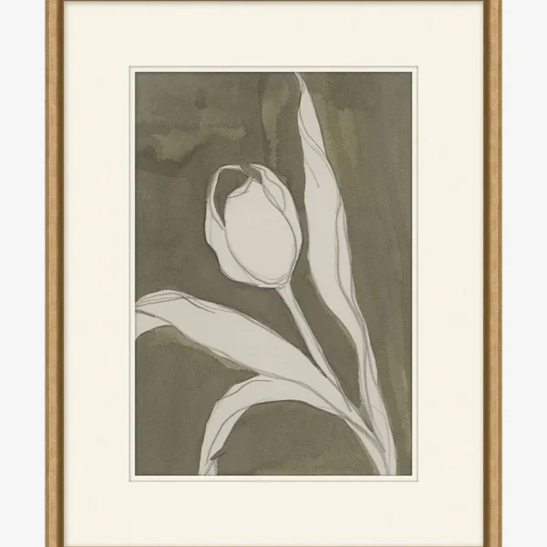 Delicate Tulip I by Rebekah Webb