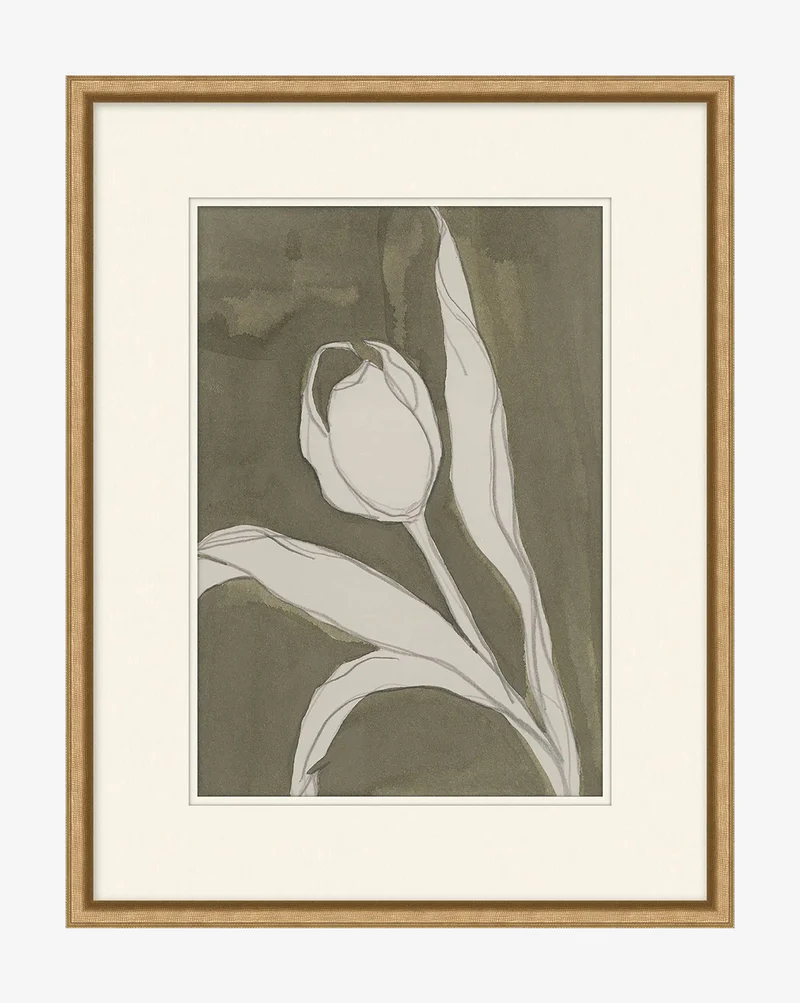 Delicate Tulip I by Rebekah Webb