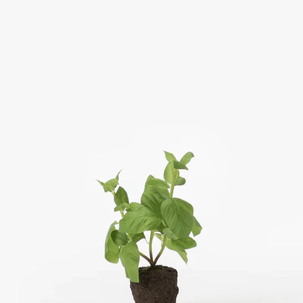 Faux Basil Drop-In