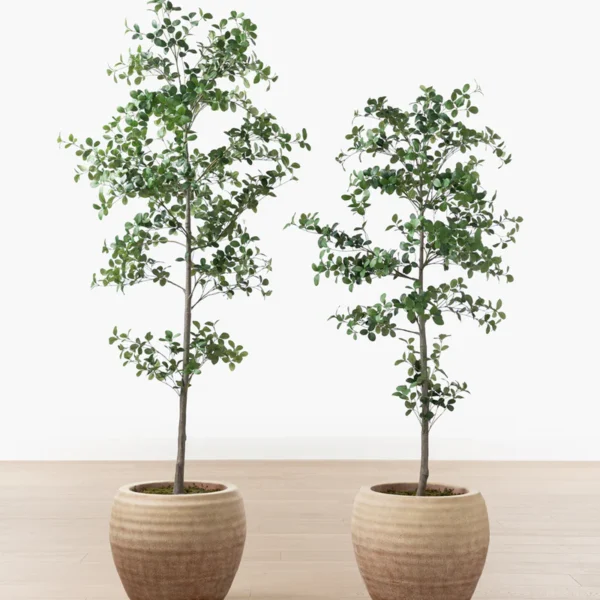 Faux Cascalote Tree