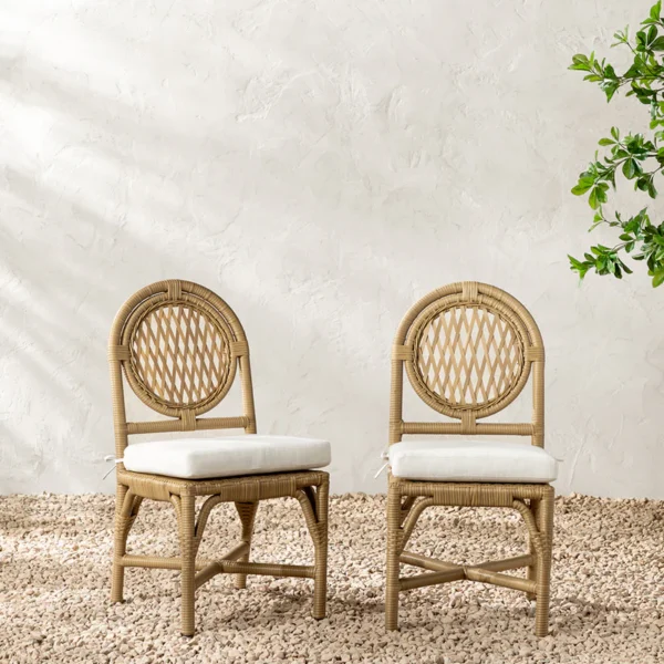 Marisol Indoor/Outdoor Dining Chair (Set of 2)