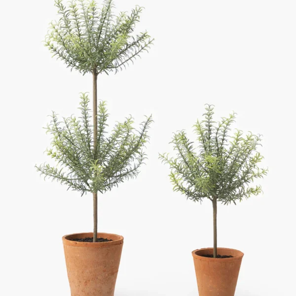 Potted Faux Rosemary Topiary