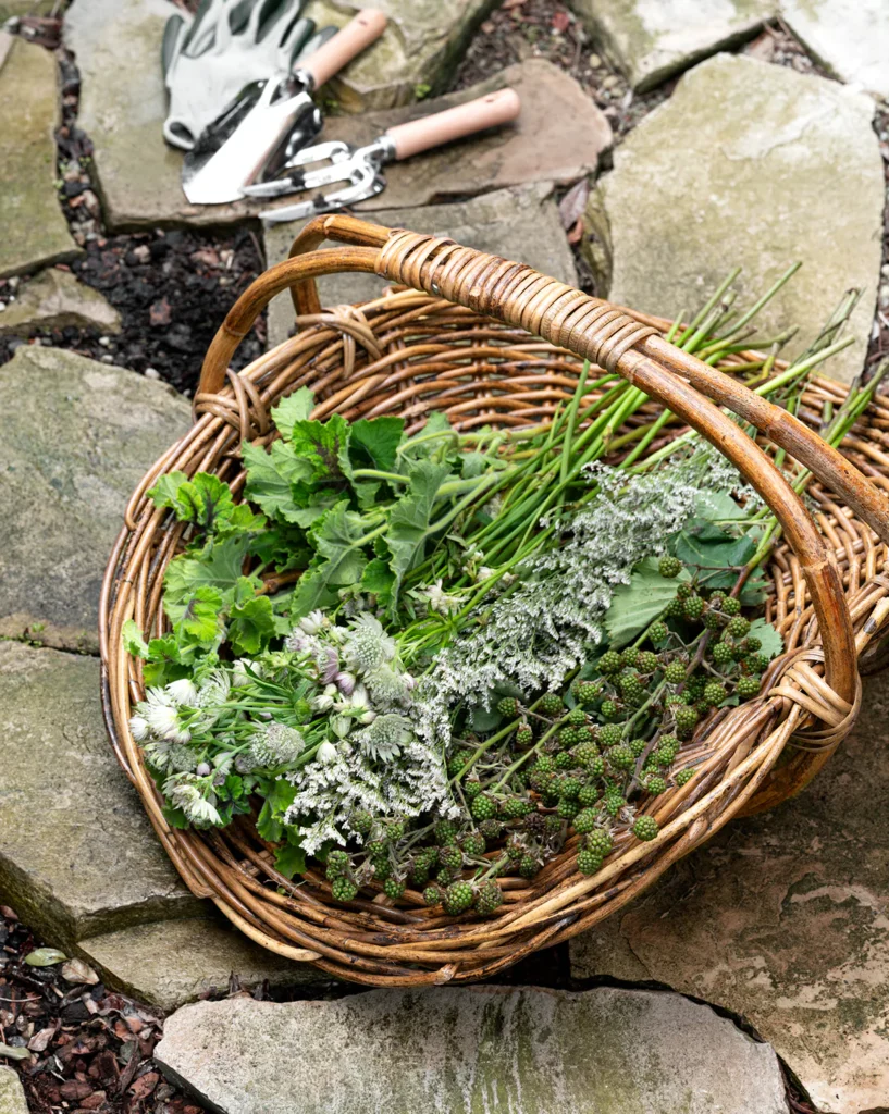 Rattan Gardening Tray