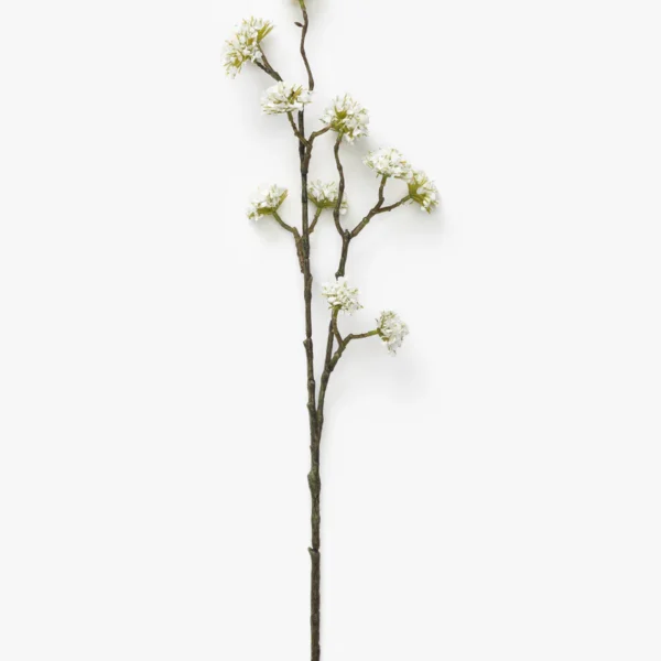 White Blossom Stem