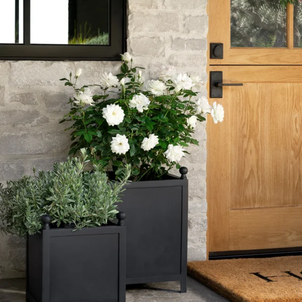 Clariance Planter